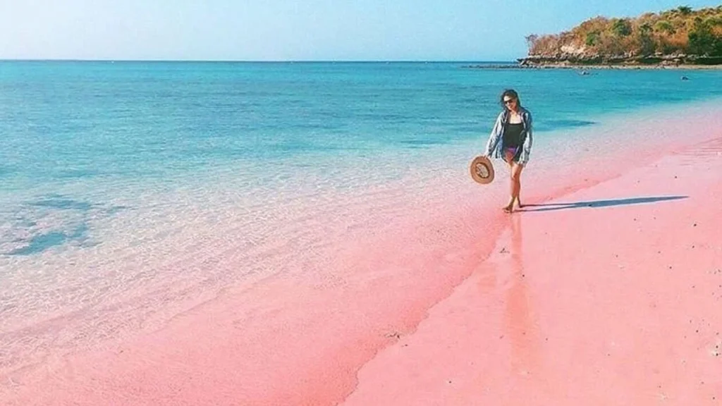 waktu terbaik ke Pantai Pink