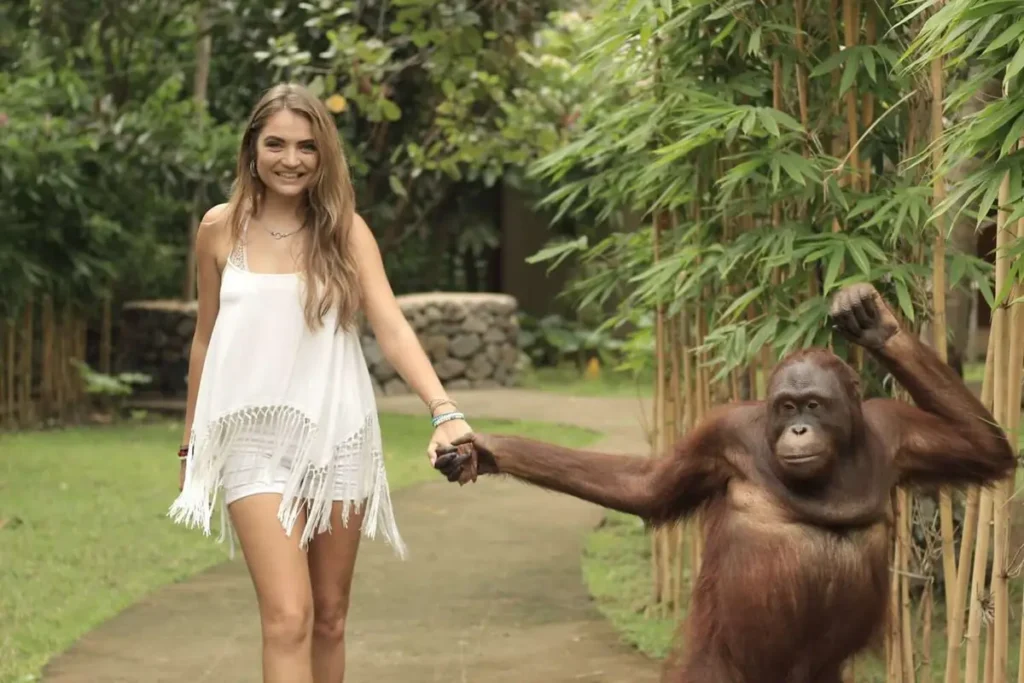 Lombok Wildlife Park dan Pantai Sire