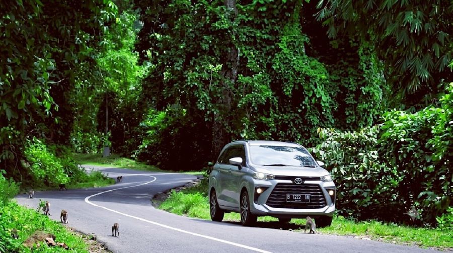 tiket masuk hutan Pusuk