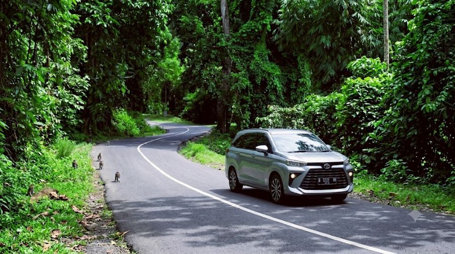 tiket masuk hutan Pusuk