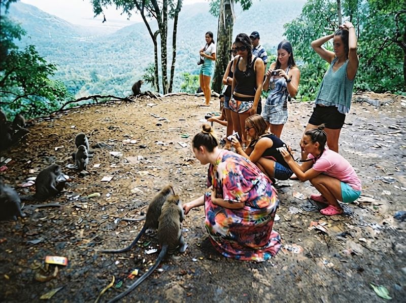 Paket wisata hutan Pusuk