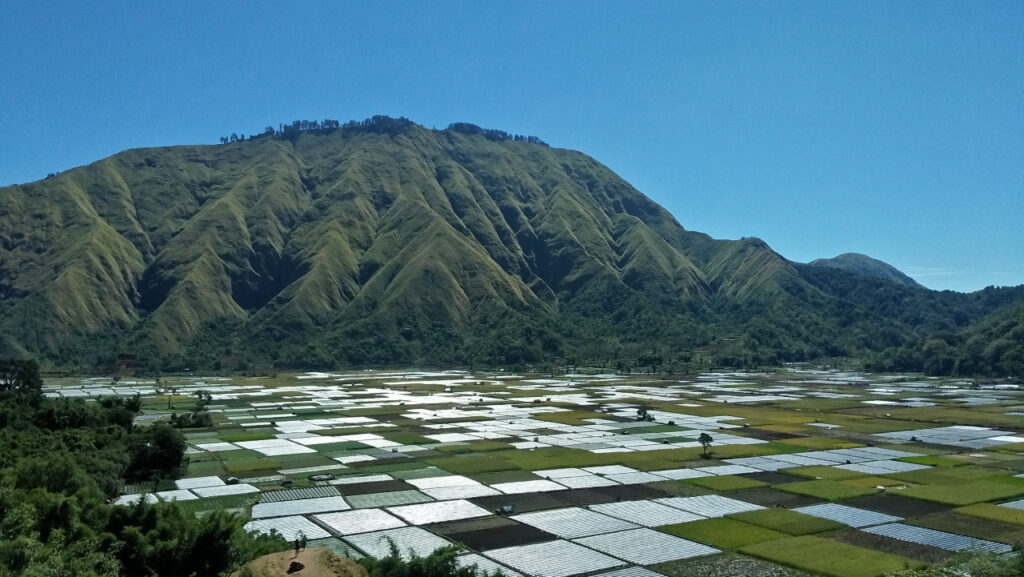 Gili Kondo untuk keluarga