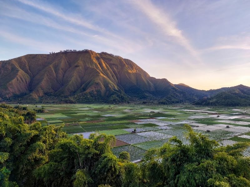 Sembalun Lombok