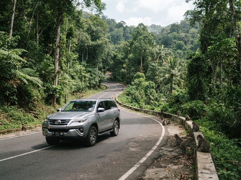 transportasi bandara lombok ke hutan pusuk