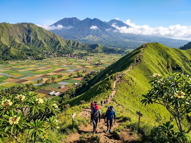 Jalur pendakian Bukit Pergasingan di kawasan Sembalun Lombok Timur