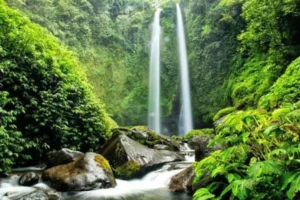 harga transportasi ke Air Terjun Tiu Teja