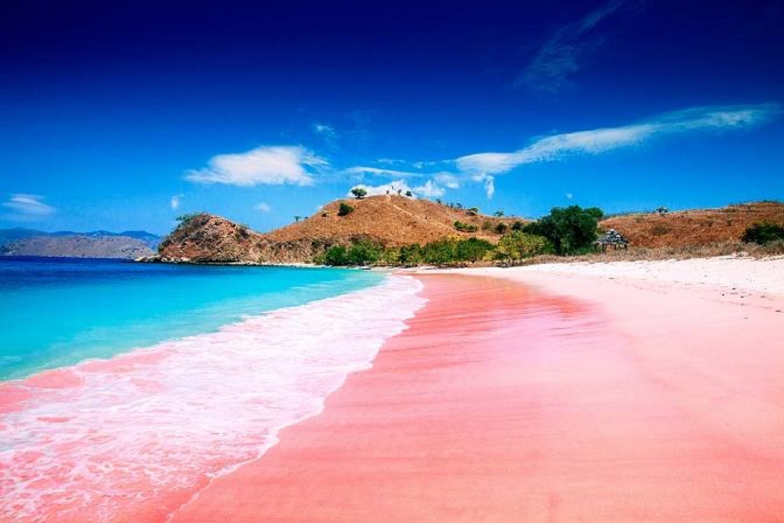 waktu terbaik ke Pantai Pink