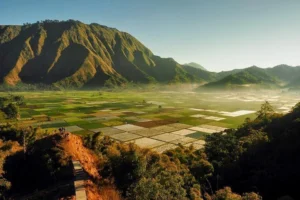 wisata Sembalun Rinjani