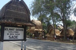 cara ke Desa Sade dari Bandara Lombok