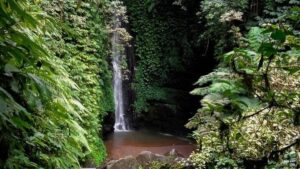 private trip ke air terjun Jeruk Manis