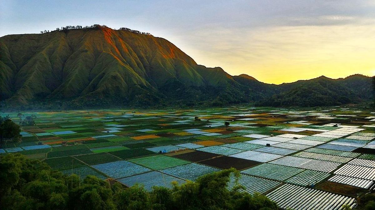 spot foto bukit selong sembalun