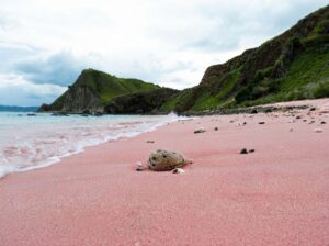Paket wisata Pantai Pink