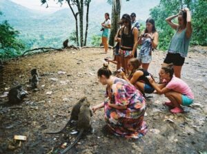 Hutan Pusuk untuk rombongan