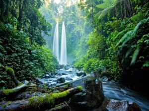 Paket wisata air terjun Tiu Teja
