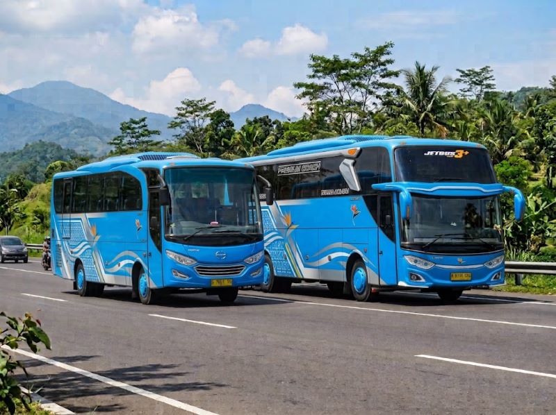 medium bus atau big bus untuk wisata Lombok